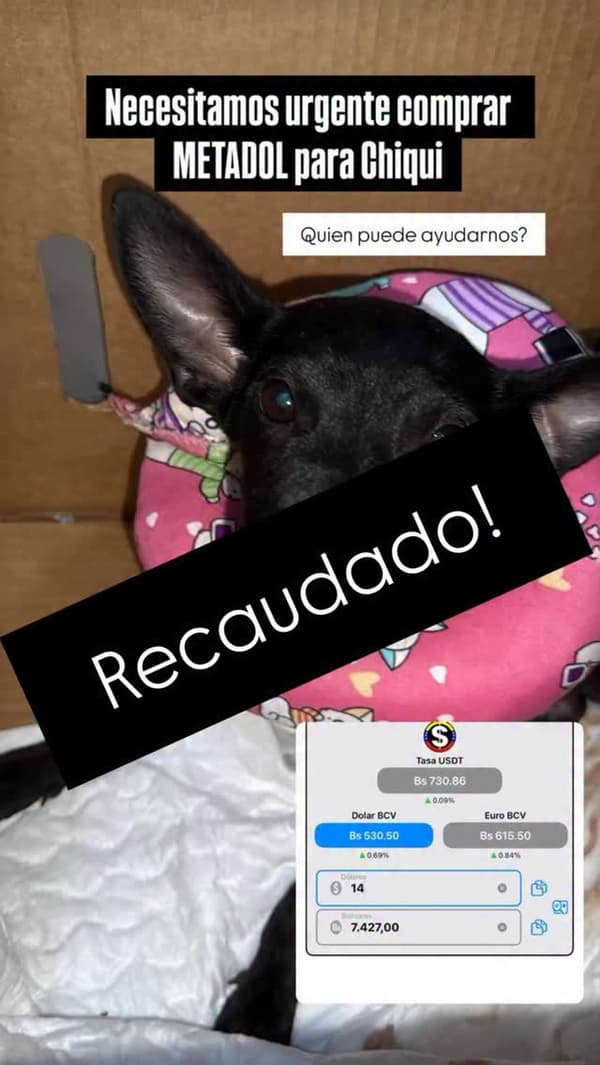 Chiqui