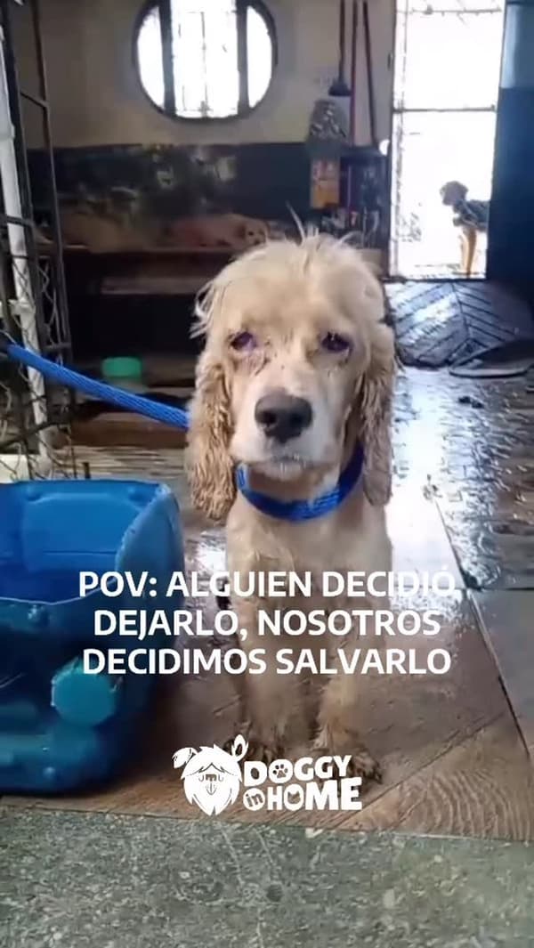 Sin nombre