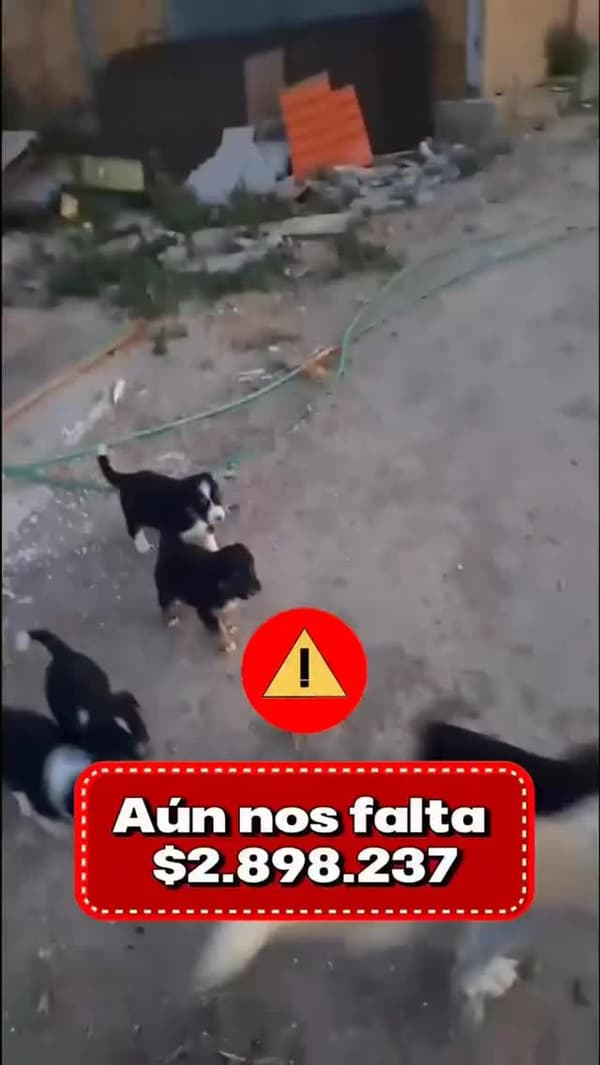 Sin nombre