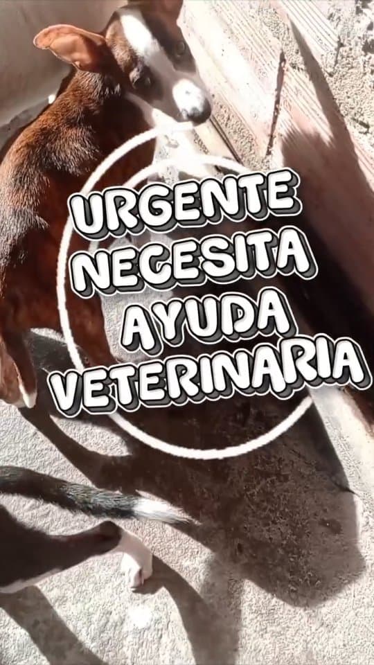 Sin nombre
