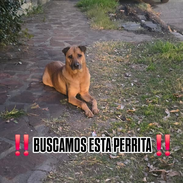 Sin nombre