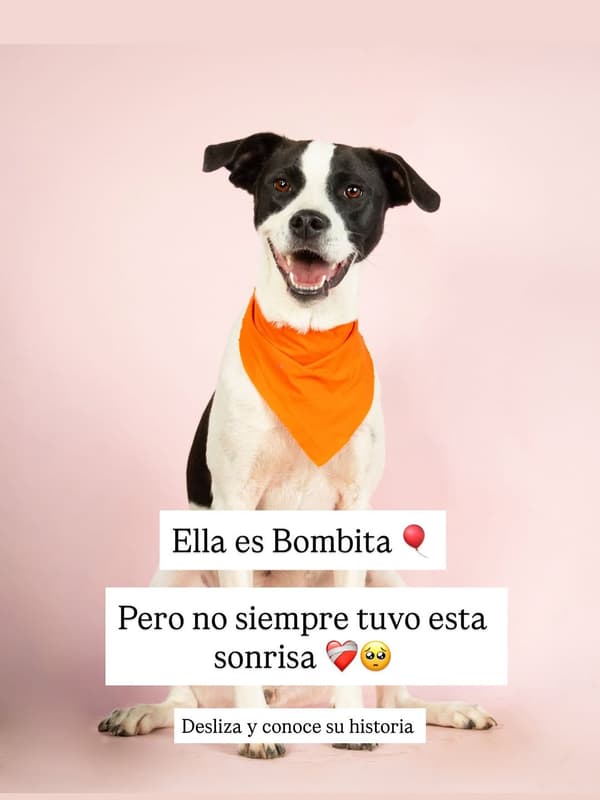 Bombita