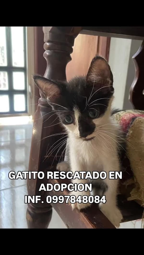 Sin nombre
