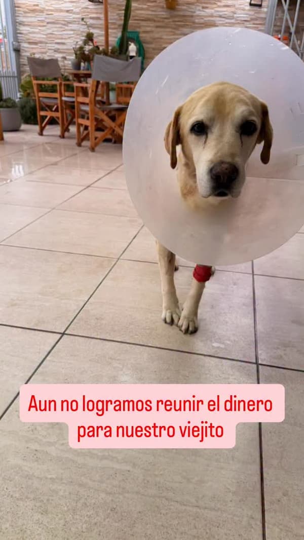 Sin nombre