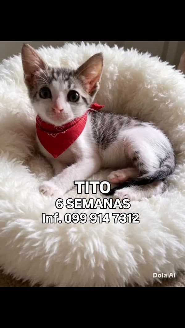 Tito