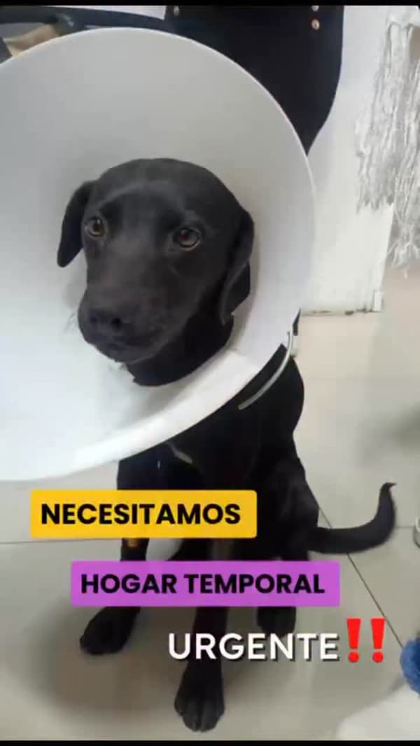Sin nombre