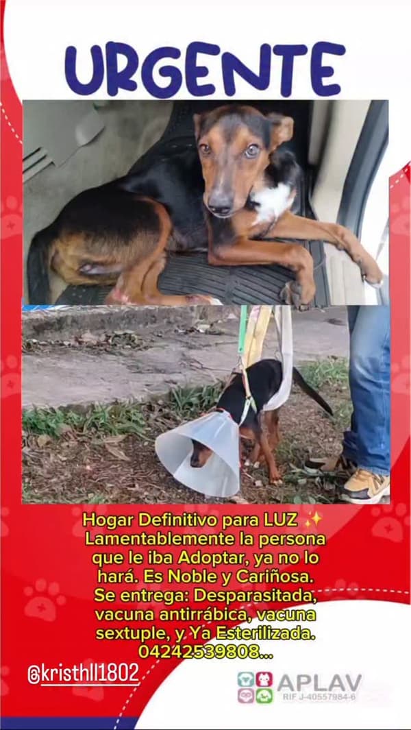 Luz