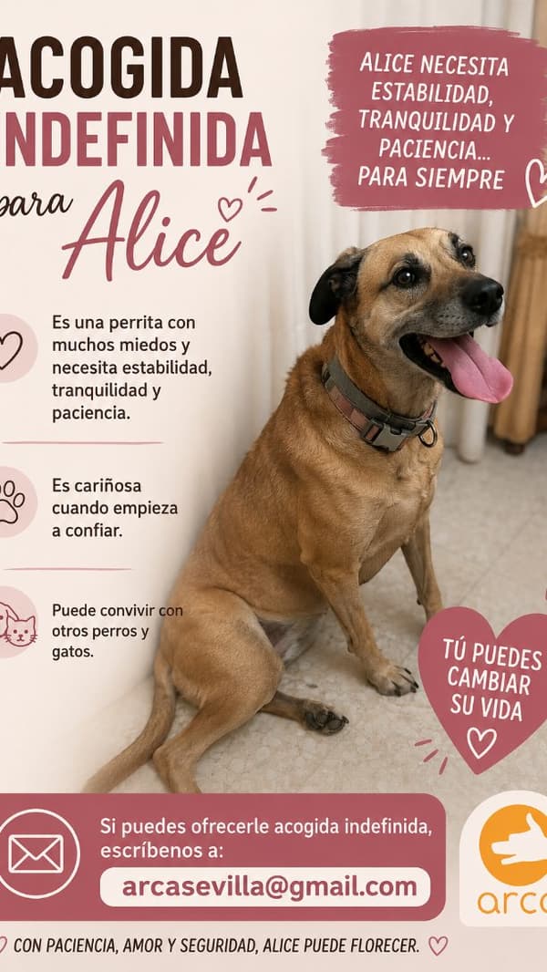 Alice