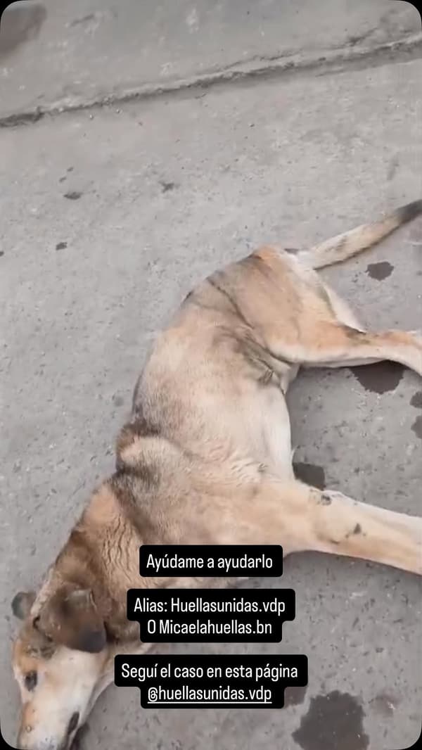 Sin nombre
