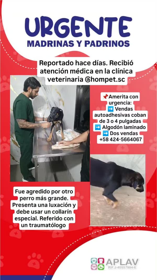Sin nombre