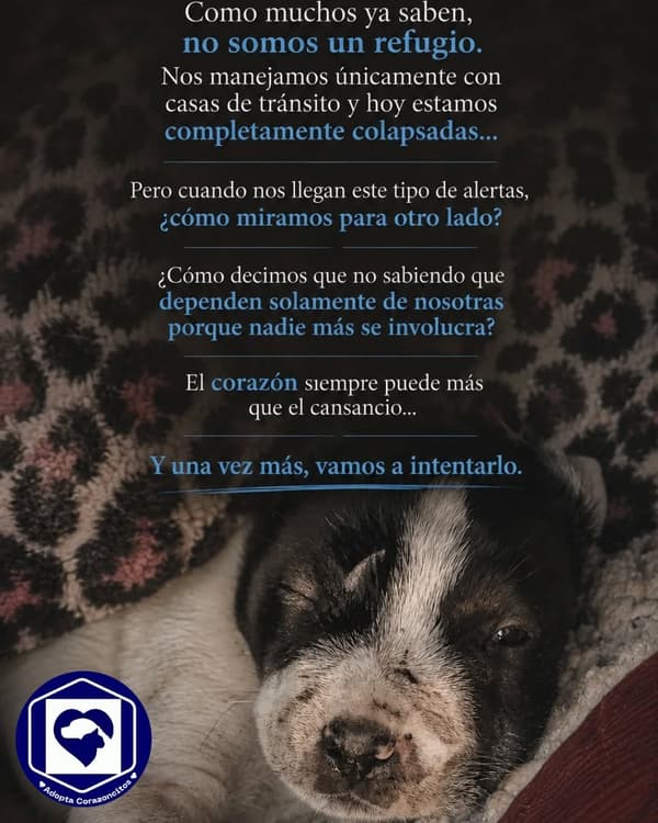 Sin nombre