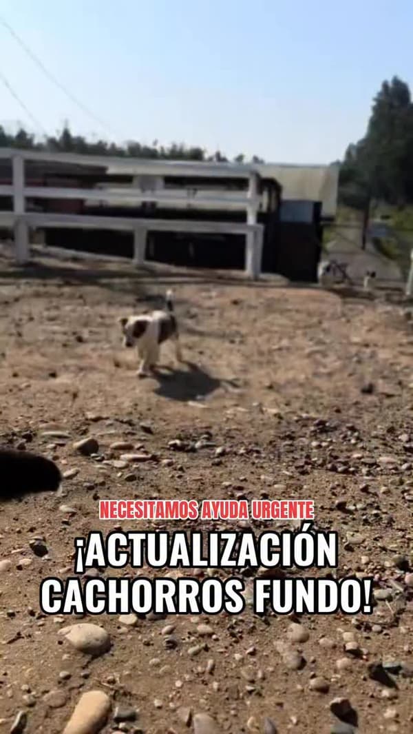 Sin nombre