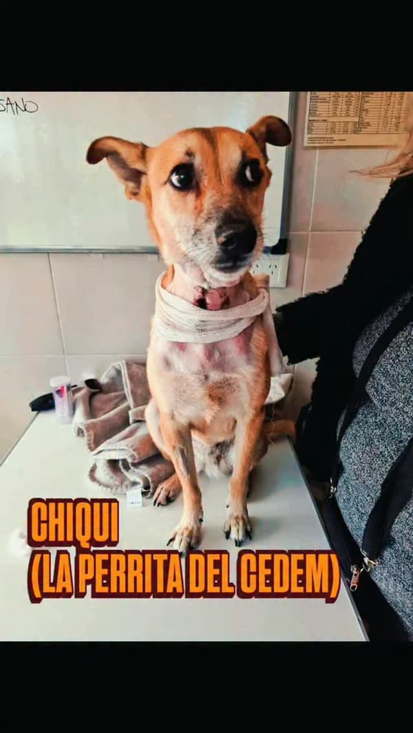 Chiquita