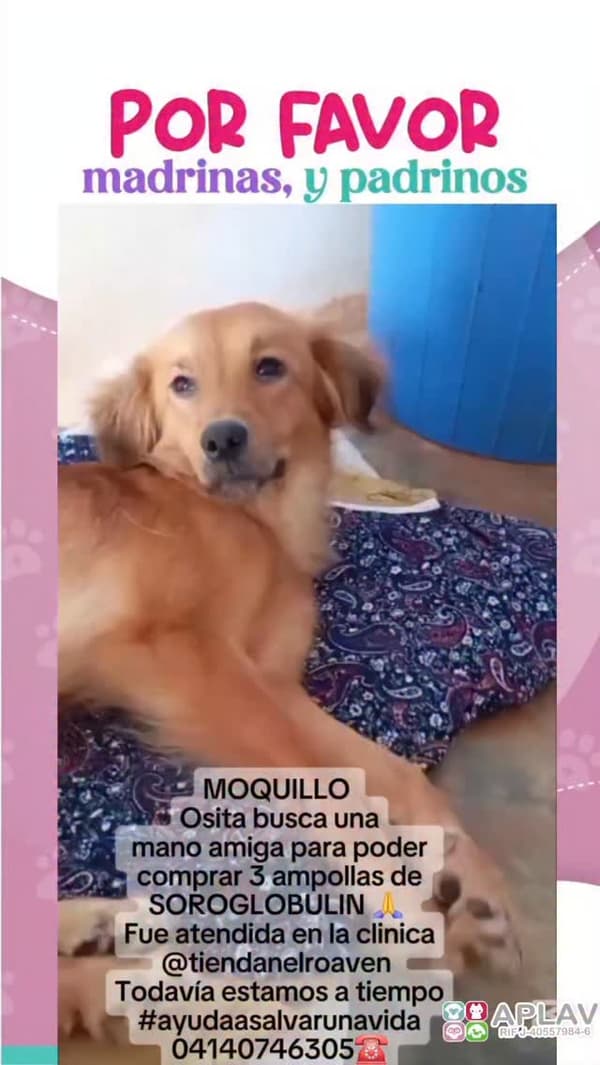 Osita