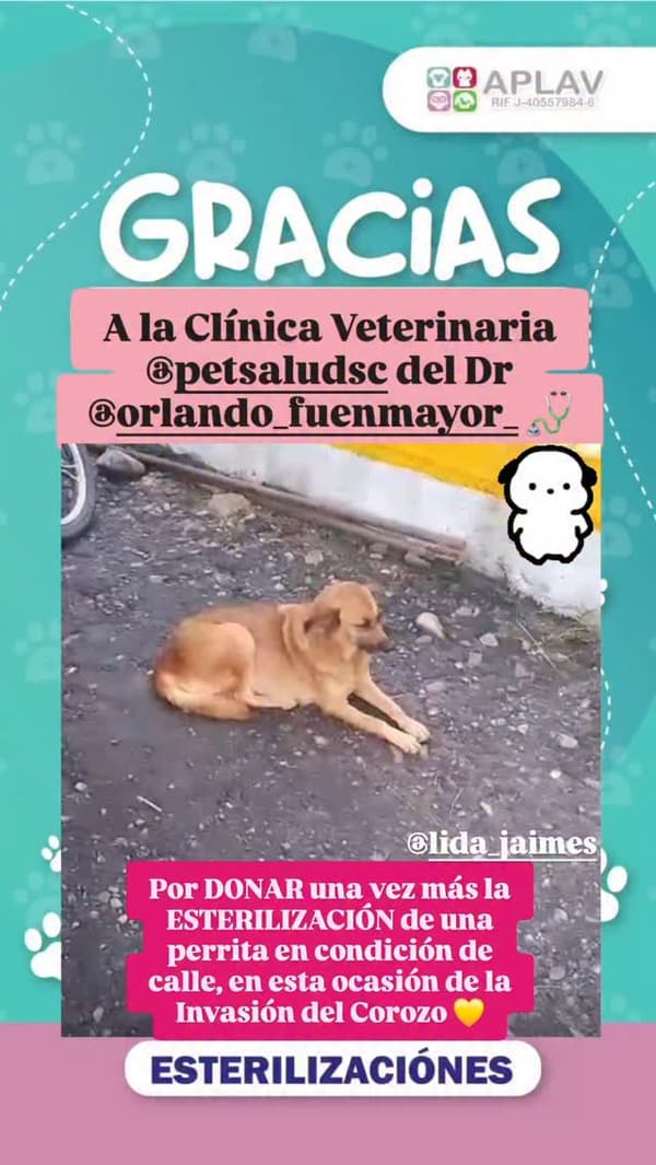 Sin nombre