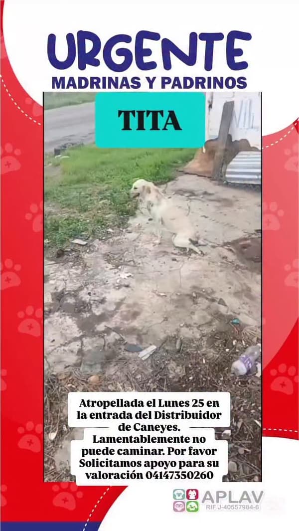 Tita