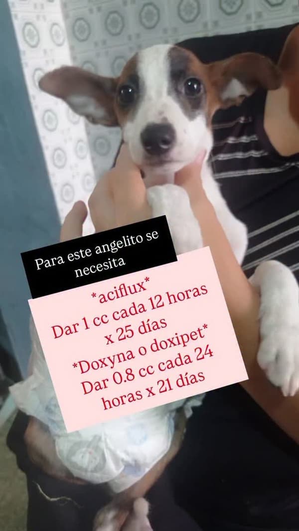 Sin nombre
