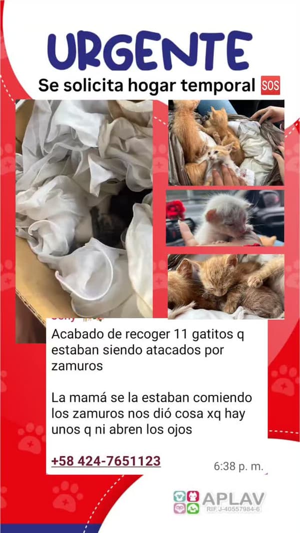Sin nombre