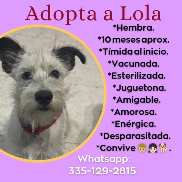 Lola