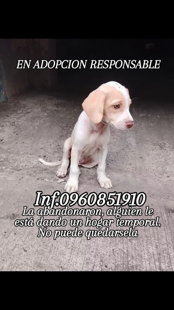 Sin nombre