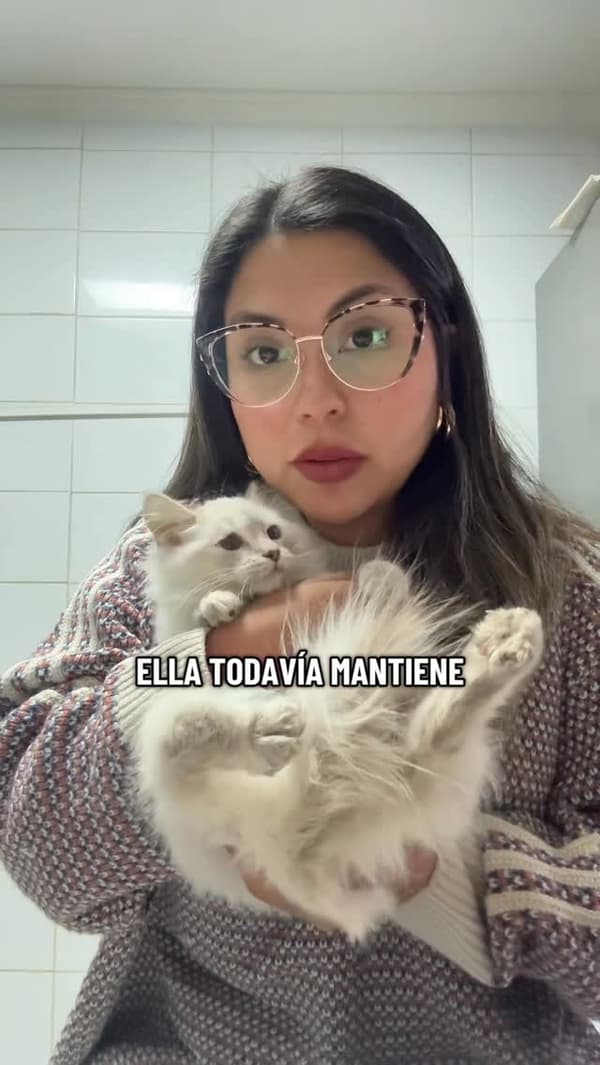 Chai