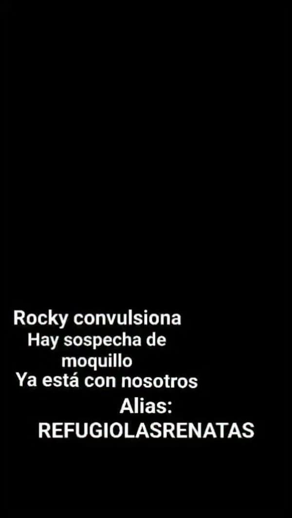 Rocky