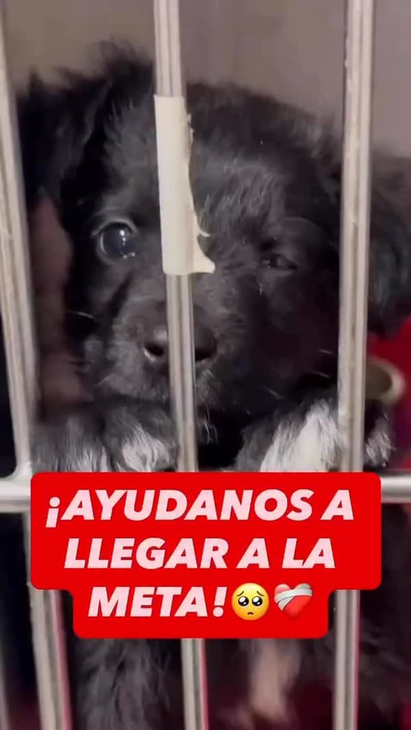 Sin nombre