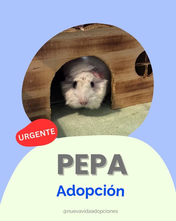 PEPA