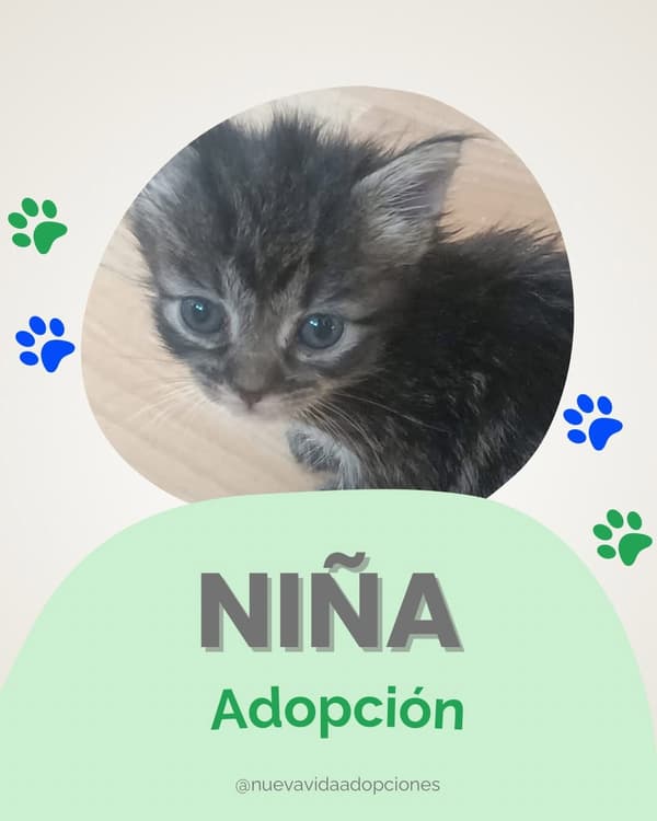 NIÑA