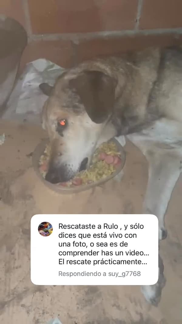 Don Rulo
