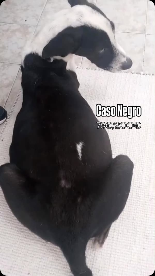 Sin nombre