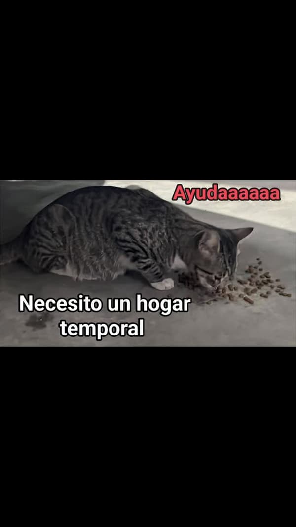 Sin nombre