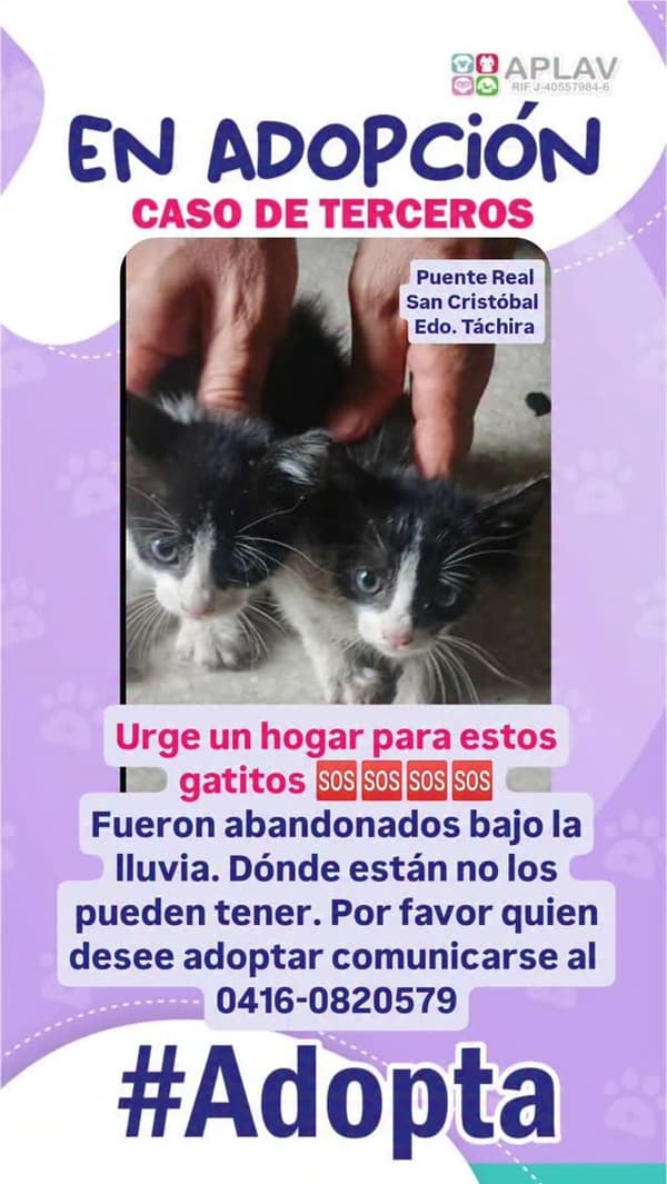 2 animalitos
