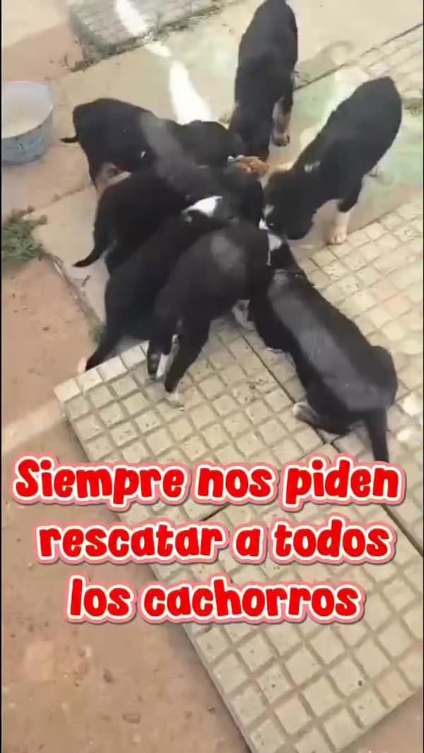 Sin nombre