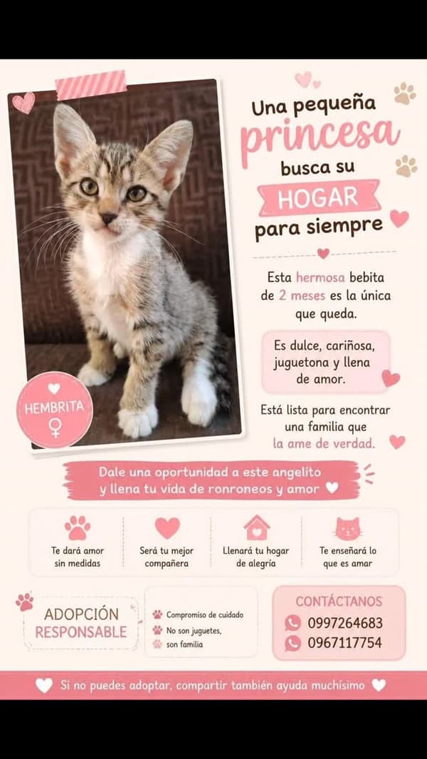 Sin nombre