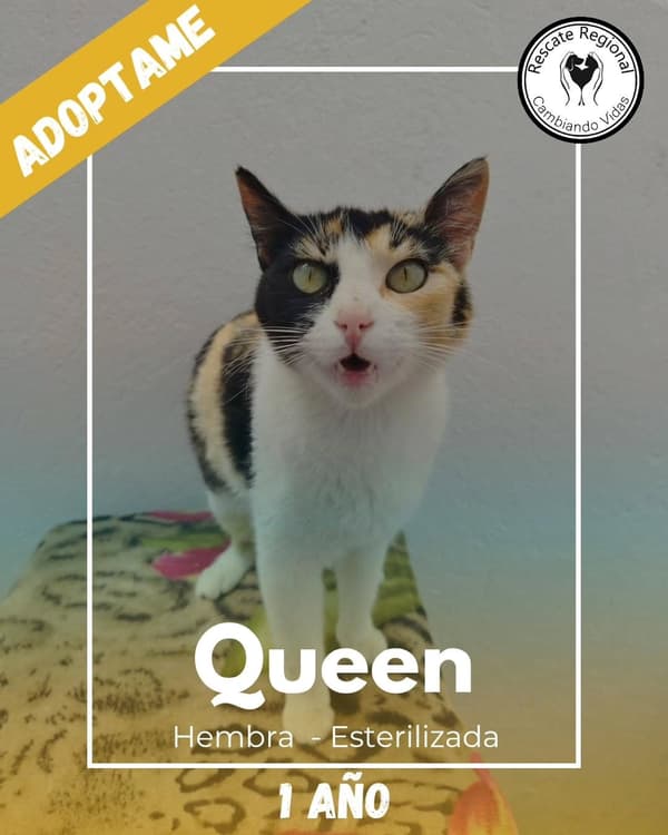Queen