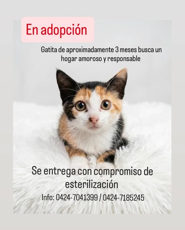 Sin nombre