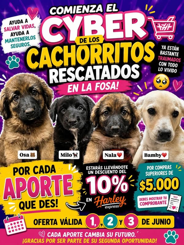 Osa, Milo, Nala +1