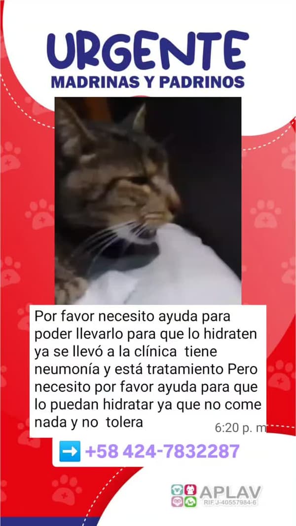 Sin nombre
