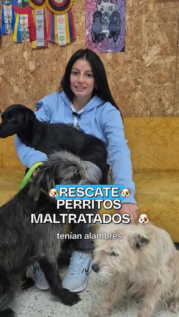 3 animalitos