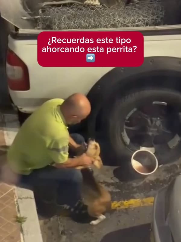 Rafaela