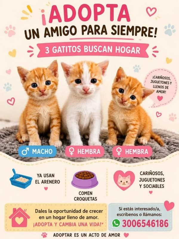 3 animalitos