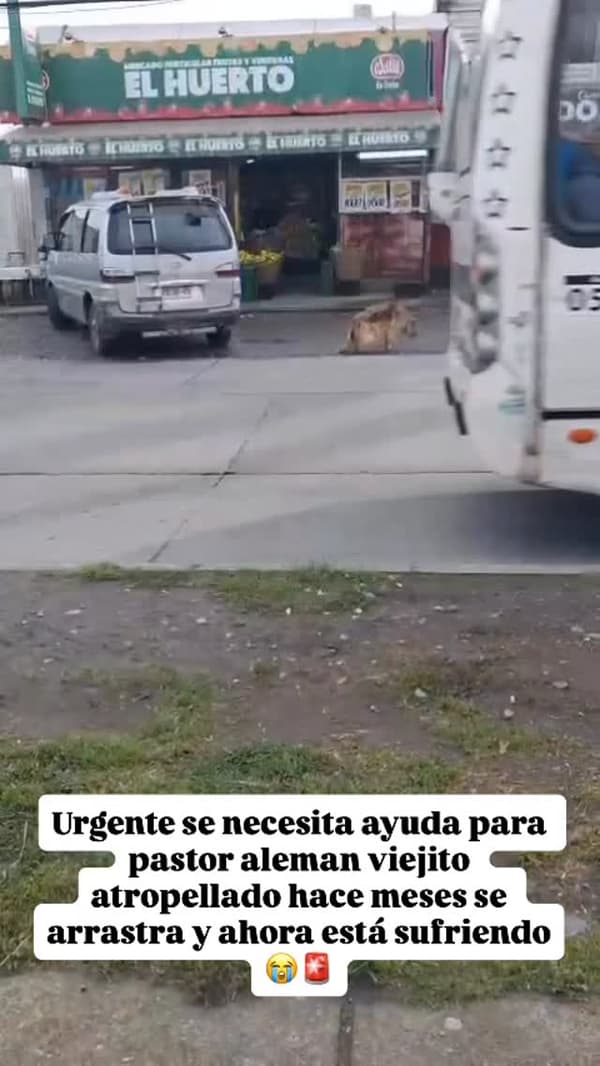 Sin nombre