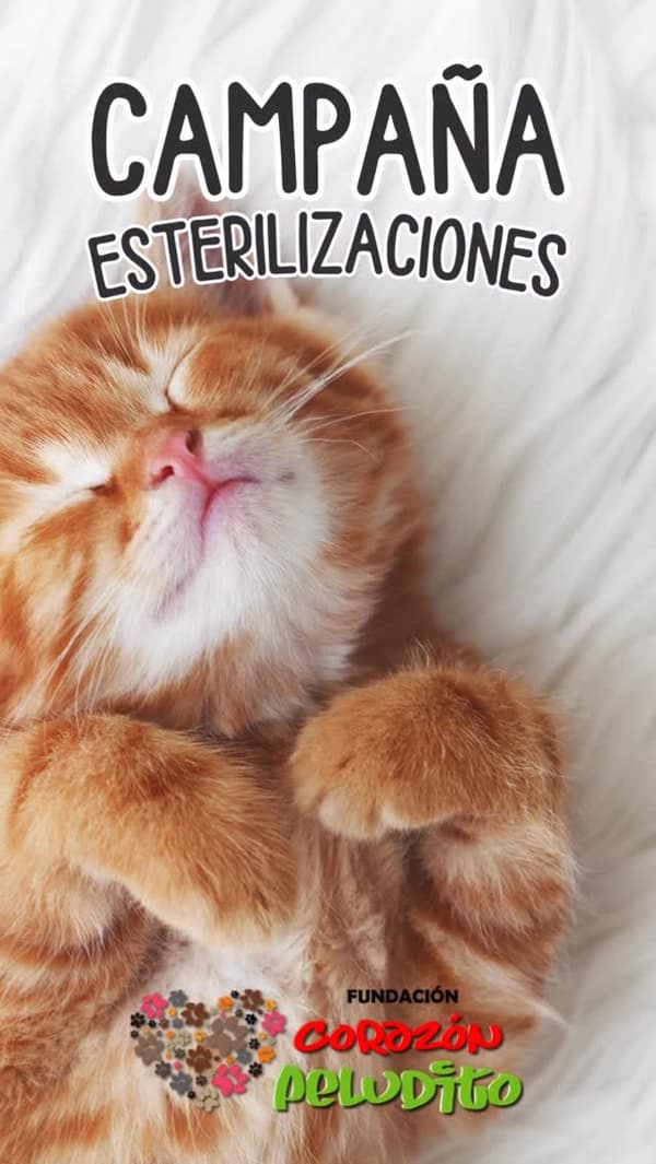 Sin nombre