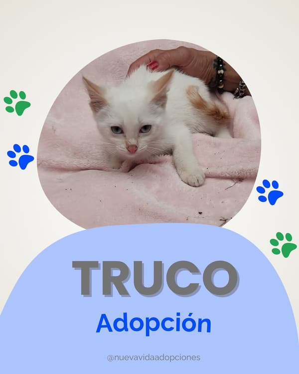 TRUCO