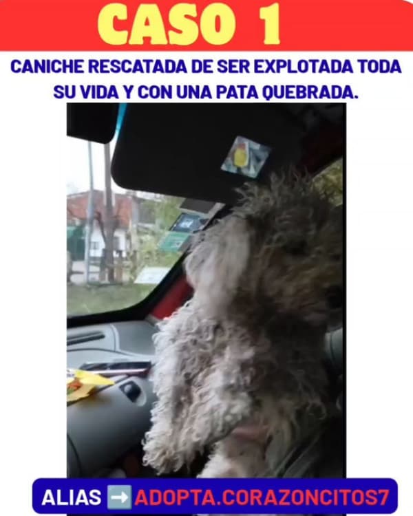 Sin nombre