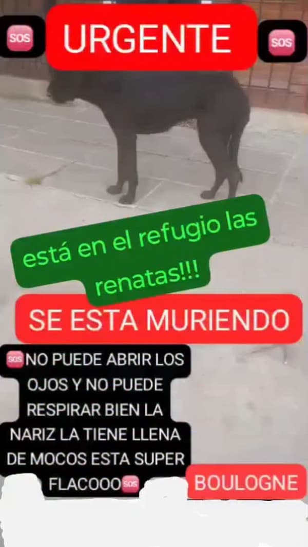 Bandido