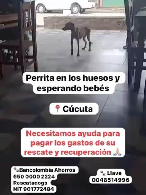 Guadalupe