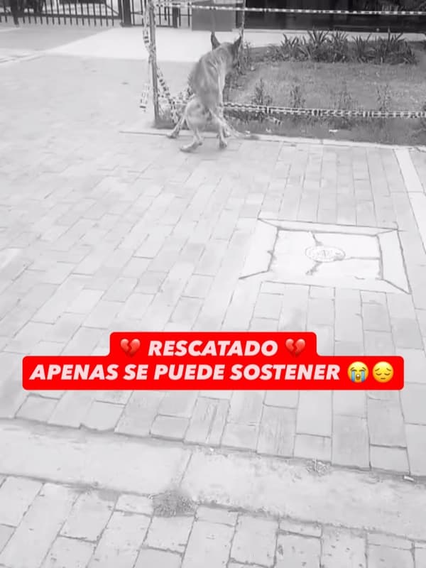 Sin nombre
