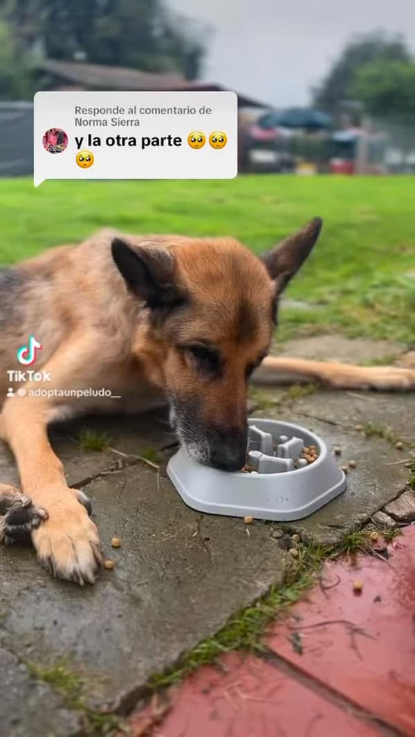 Aquiles